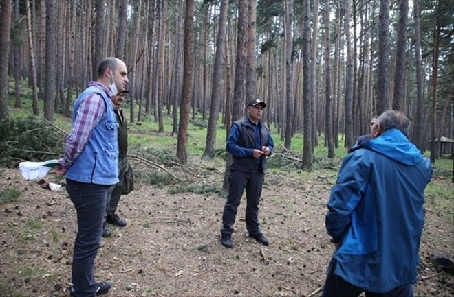 Erzurum Bölge Müdürü Ayatay, Ardahan Orman İşletme Müdürlüğünde incelemelerde bulundu