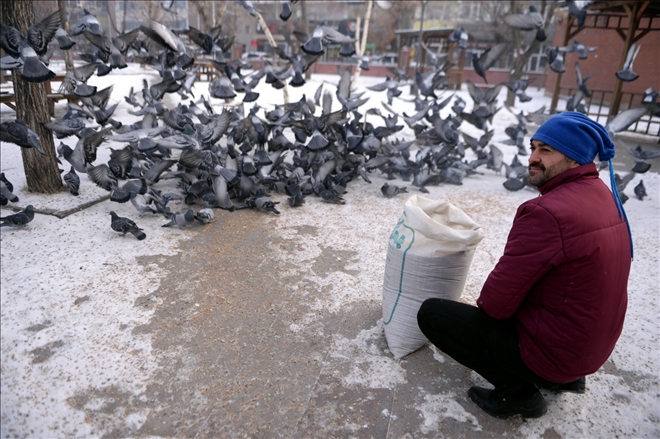 Muhtar Ekmekçi, yiyecek bulmakta güçlük  çeken kuşlar için yemleme çalışması yaptı
