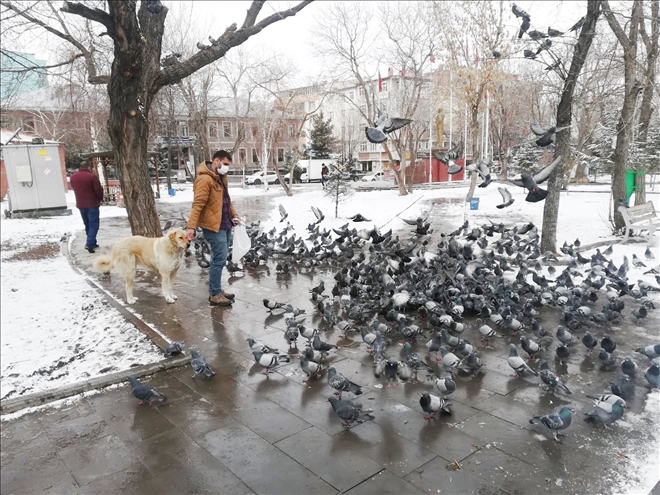 Duyarlı vatandaş, her fırsatta güvercinlere yem veriyor