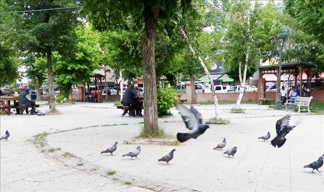 Ardahanlılar sıcak havada parklara akın etti