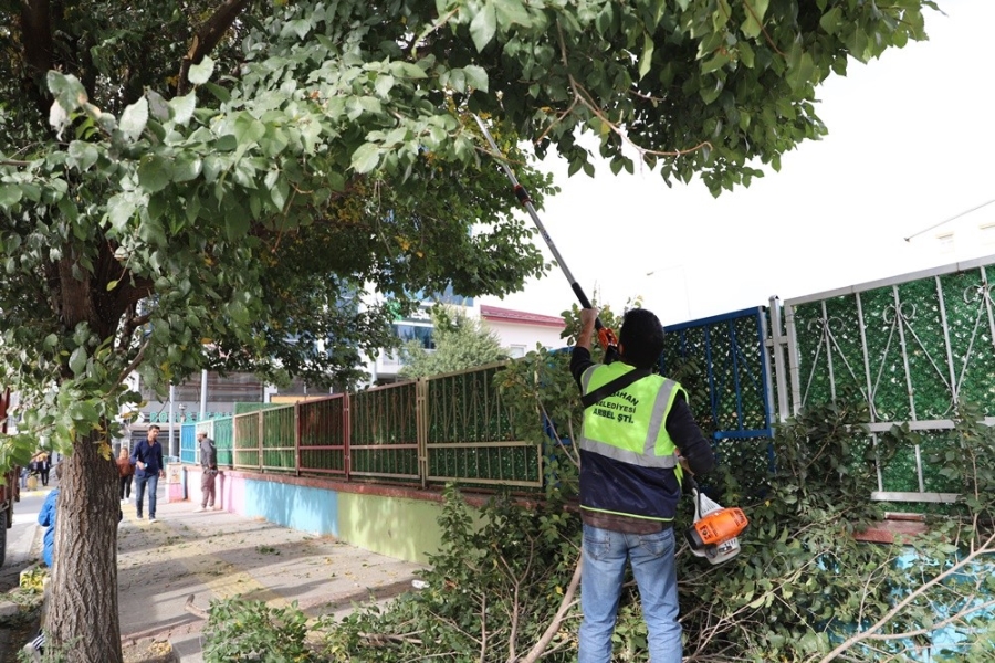 Belediye ekiplerinden mevsimlik ağaç budama çalışması