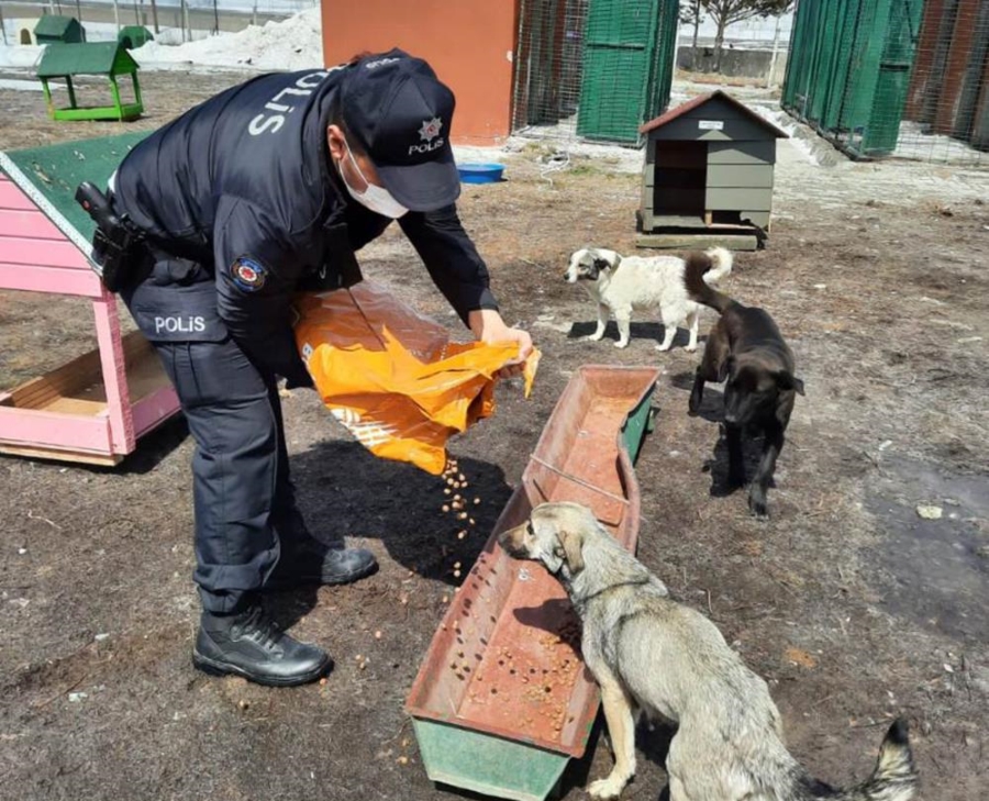 Polis ekipleri sokak hayvanlarını unutmadı
