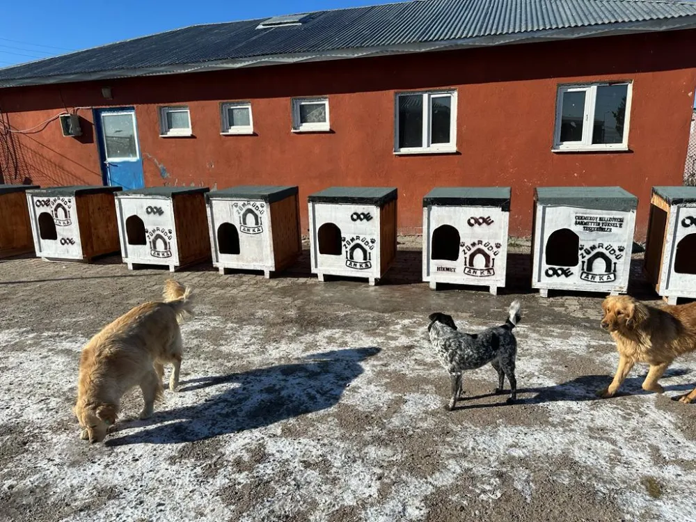 Zümrüd-ü Anka’dan Ardahan Belediyesi hayvan barınağına kulübe desteği