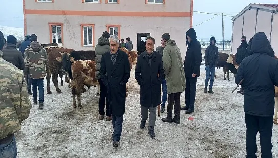 Başkan Gültekin, Hayvan pazarını ziyaret etti
