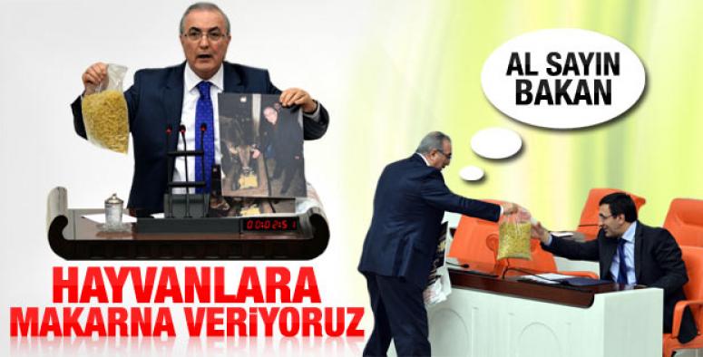 CHP Ardahan`da intahar gibi karar, Ön Seçim yapmayacak!