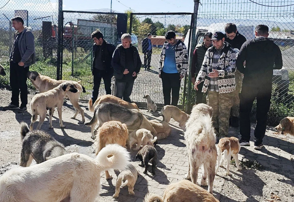 Özel Bireyler, Hayvan barınağını ziyaret rtti