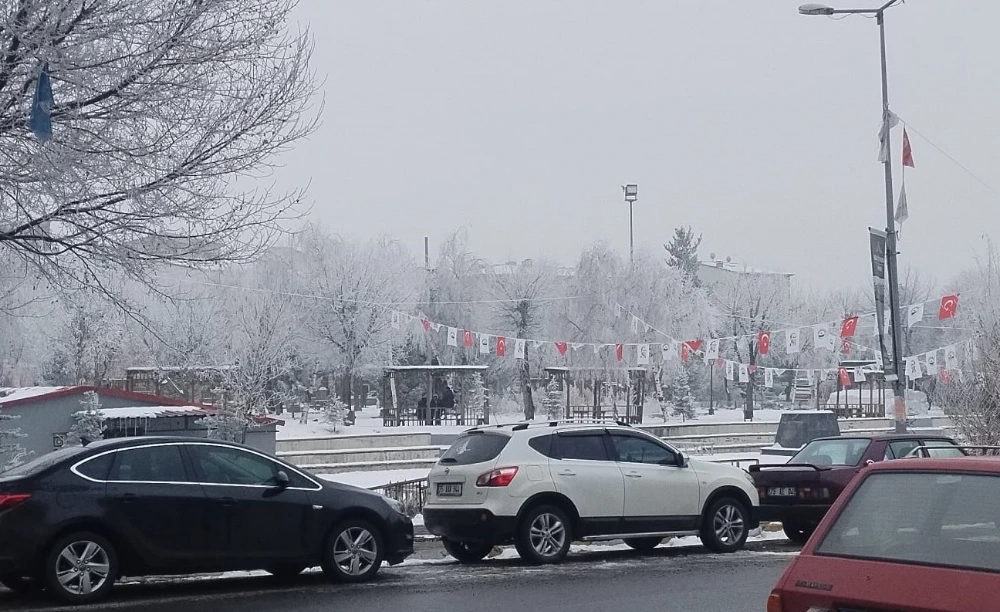 Soğuk Havanın etkisiyle Kırağı Tutan Ağaçlar beyaza büründü