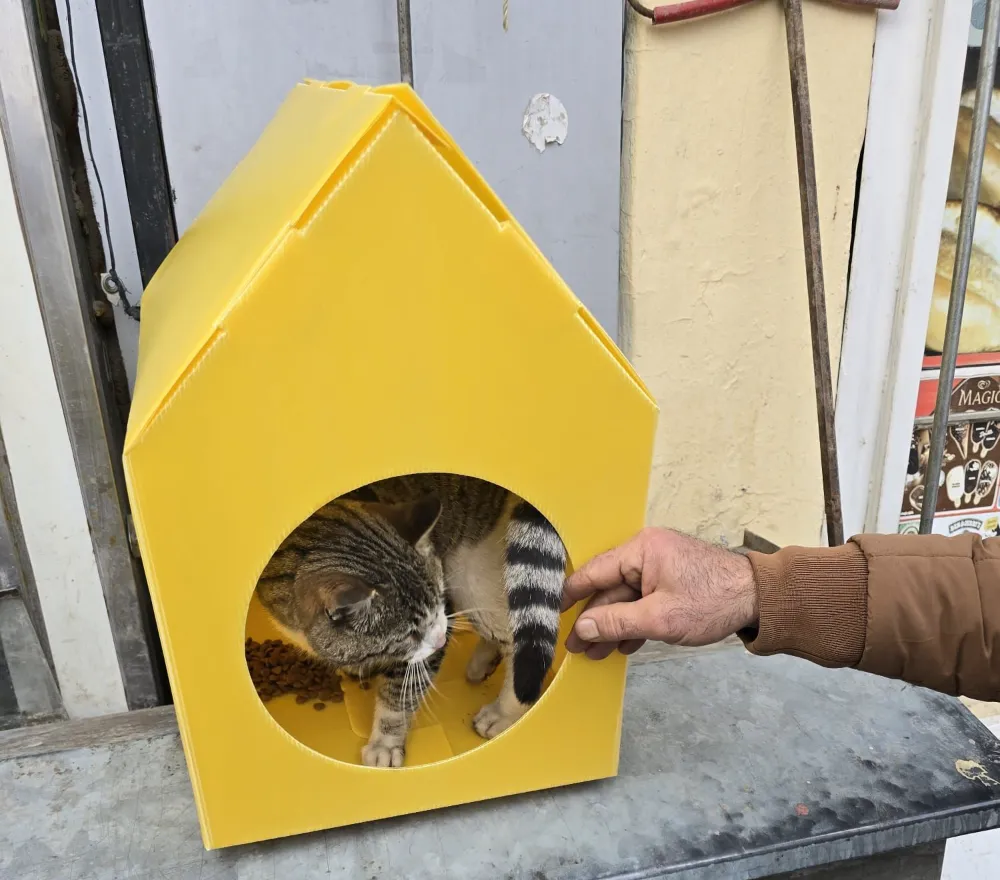 Posof Belediyesi’nden minik dostlarımıza sıcak bir yuva: Kedi Evi Projesi