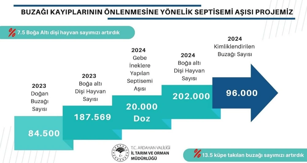 Septisemi Aşısı Projesi ile Buzağı Kayıpları %13.5 azaldı