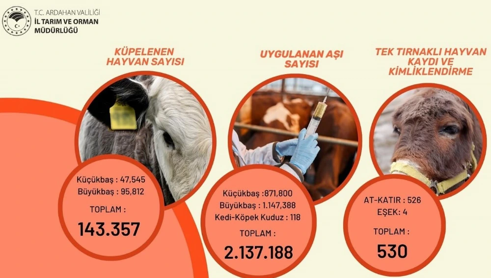 İl Tarım Müdürlüğü küpeleme ve aşılama sayısını açıkladı