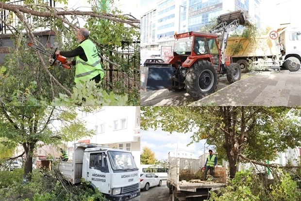 Ardahan Belediyesi’nden Kent Genelinde Ağaç Budama Çalışması