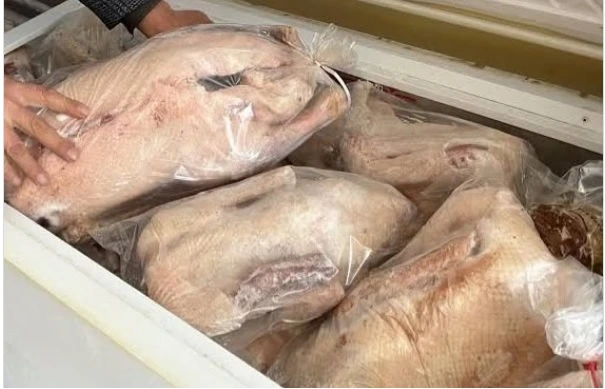 Ardahan’da Kaz Sezonu Başladı: Fiyatı Altınla Yarışıyor