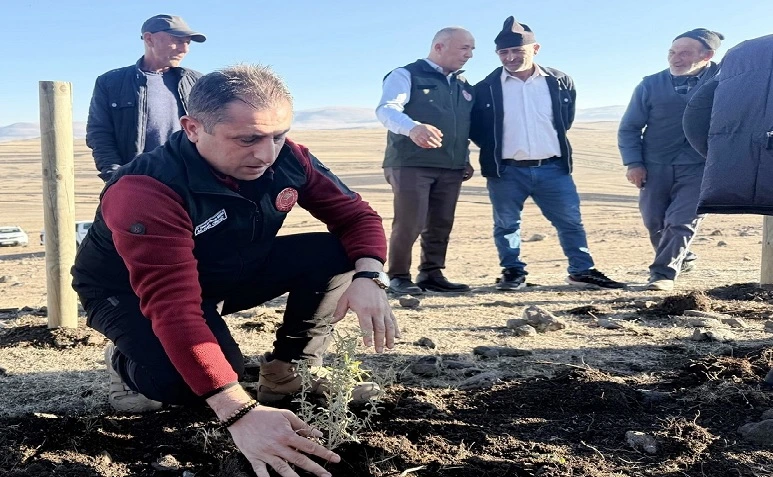 Ardahan’da Meralar Tuz Çalısı ile Zenginleştiriliyor