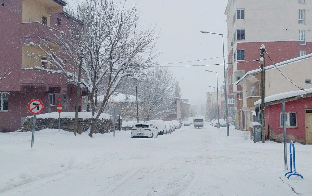 Ardahan