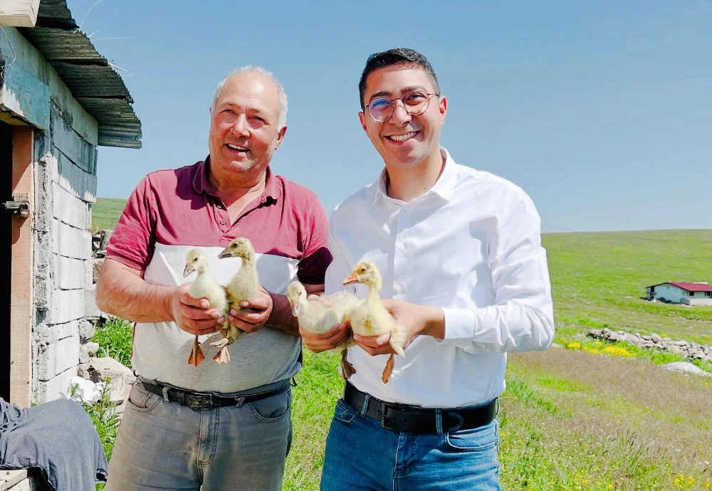 Başkan Çamliyur, Kaz Yetiştiriciliği Hayal Değil Artık Gerçek