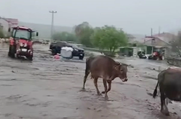 Hasköy’de Sel Felaketi