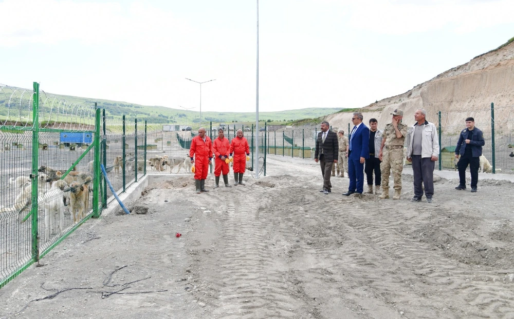 Vali Çiçek, sahipsiz hayvan barınağını inceledi