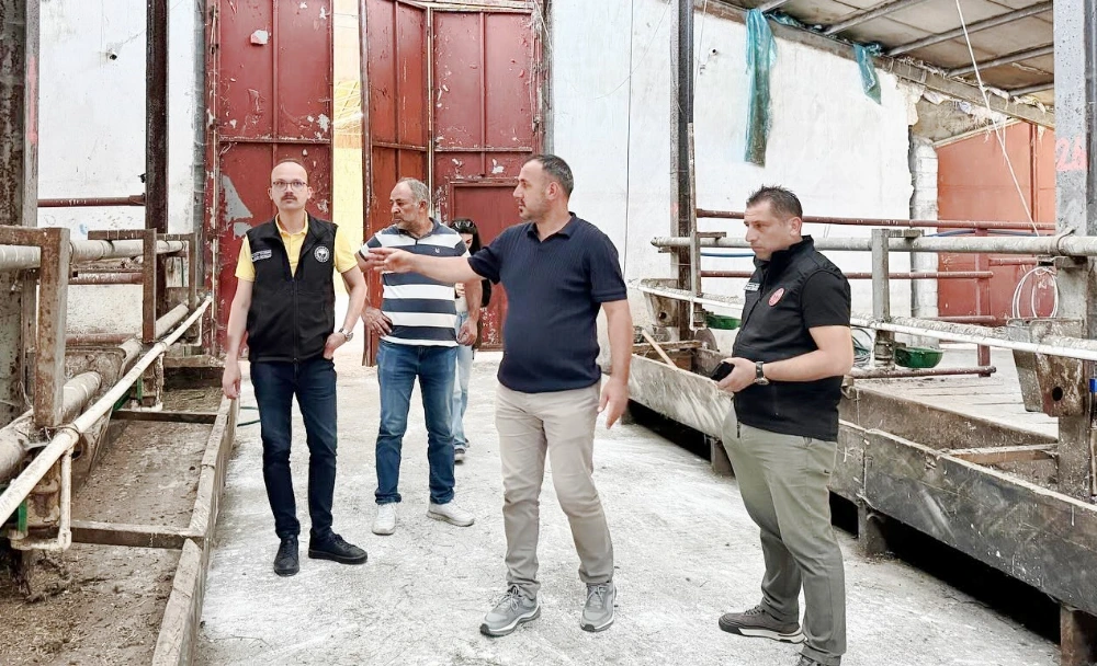 Göle TİGEM’de Şap Riski Görülmedi