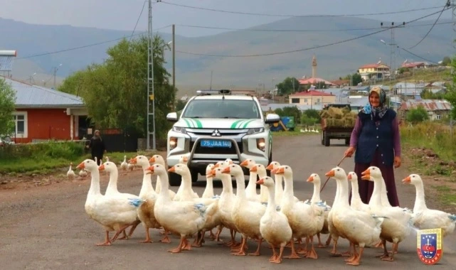 Jandarma’dan “Önce Yaya” Mesajı