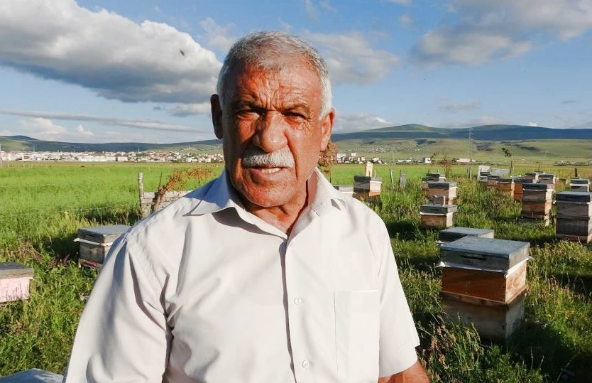 Ardahan