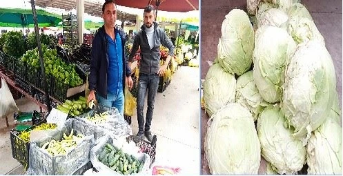 Turşuluk Sezonu Başladı