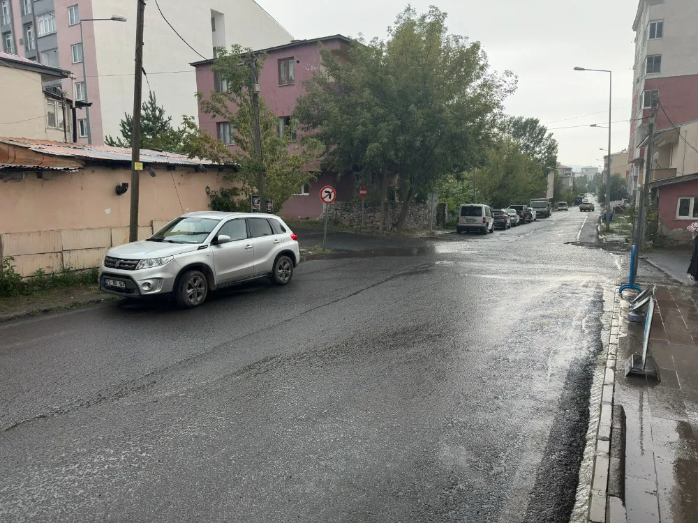 Ardahan yağmurla serinledi